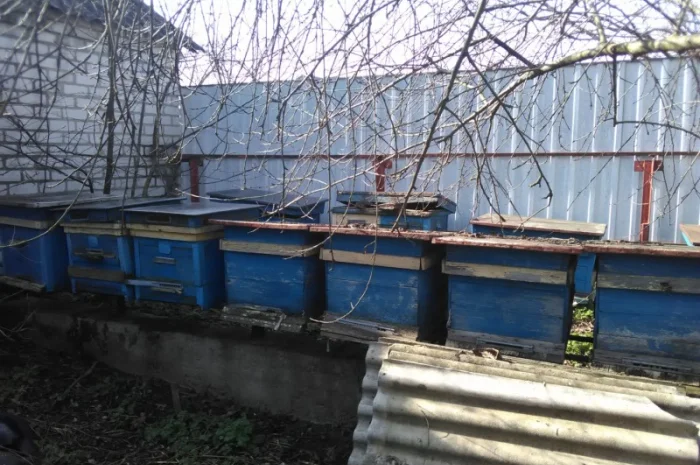 Продаю вулики б/у з рамками та корпусами, медогонки- фото № 1