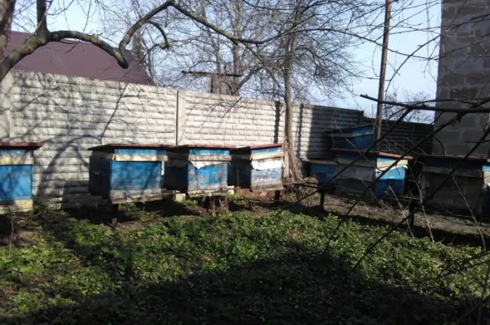 Продаю вулики б/у з рамками та корпусами, медогонки- фото № 4