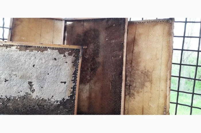 Продаю пасеку з вуликами, рамками та сушшю- фото № 1