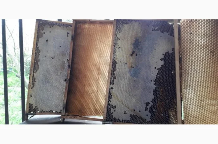 Продаю пасеку з вуликами, рамками та сушшю- фото № 3