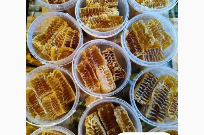 Пластикові харчові відра для меду оптом від виробника Луцьк- фото № 4