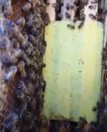 Серветки від кліща ЕКО для бджіл- фото № 2