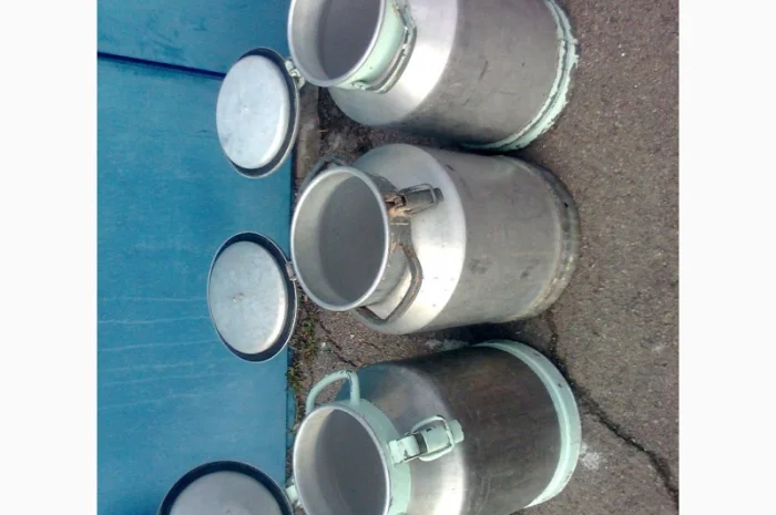 Продам бідон (молочний)(40 л.)- фото № 2