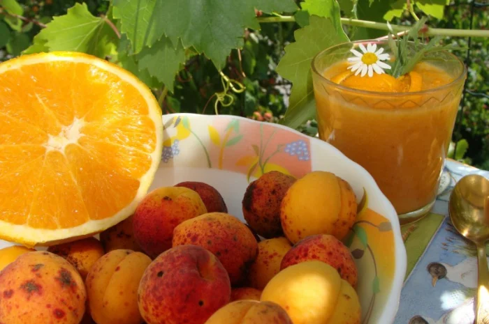 Продам саджанець Абрикос садовий урожайний- фото № 3