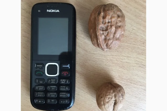 Продам саженцы грецкого ореха Идеал, ВНИМАНИЕ сорт оригинальный- фото № 3