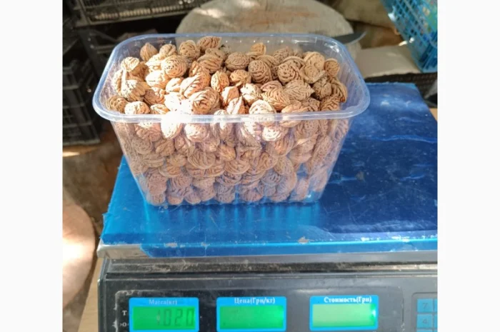 Персик Хасанский- фото № 4