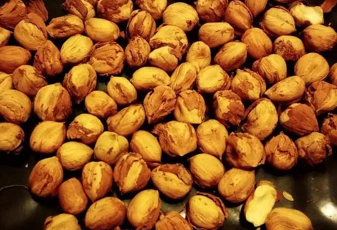 Дворічні саджанці фундука Каталонський, вкс- фото № 2