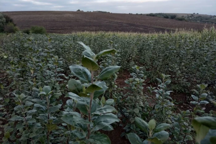 Продам подвой м9 т337- фото № 1