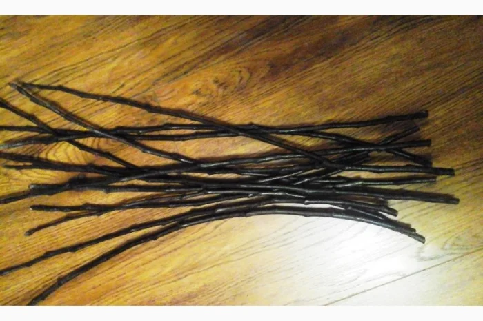 Черенки плодовых деревьев- фото № 1