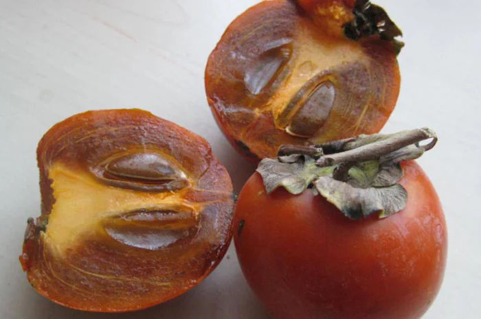 Питомник "Агродиво" реализует собственную продукцию более 900 сортов- фото № 17