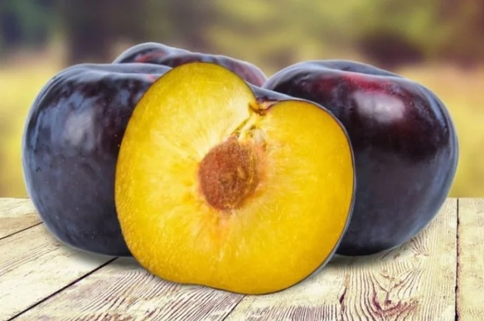 Питомник реализует саженцы на ОСЕНЬ 2024 оптом и в розницу на сайте "Сад растений"- фото № 13