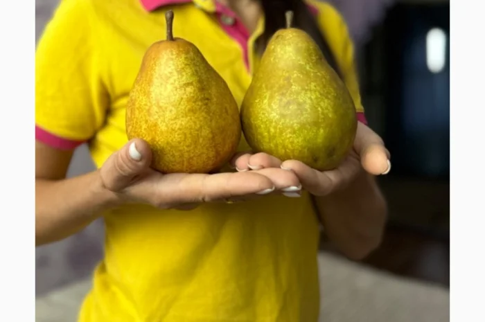 Продам саджанці плодових дерев та кущів, а також декоративних рослин- фото № 17