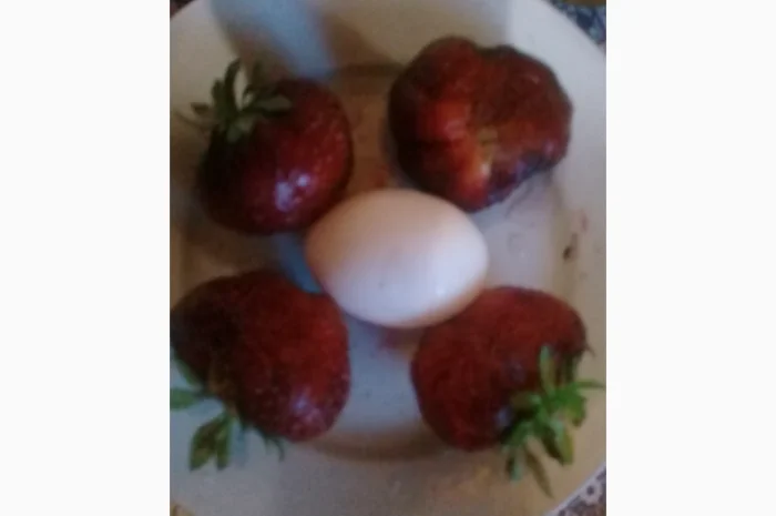 Продается саженцы клубники Гигантелла Макси- фото № 1