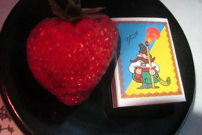 Пропонуються саженці крупноплідної клубніки- фото № 1