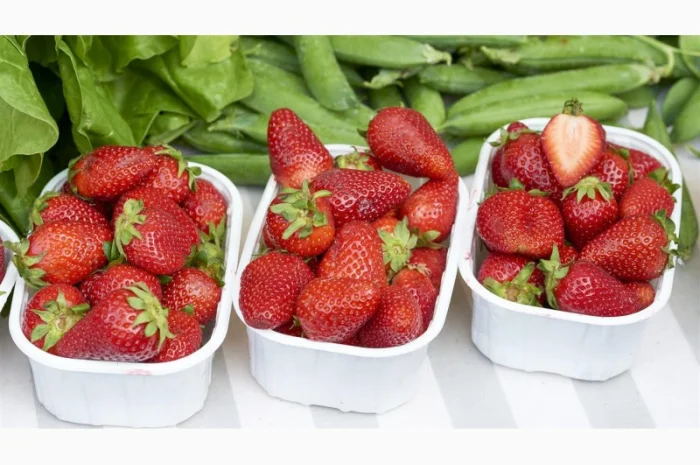 Полуниця Корі (Cory Strawberry) саджанці полуниці Фріго- фото № 1