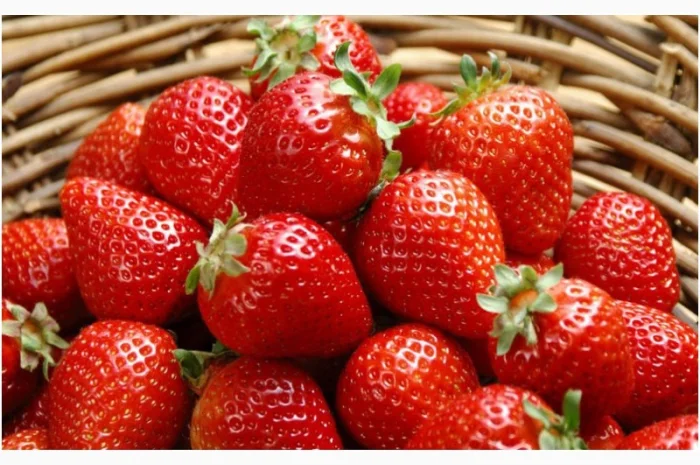 Полуниця Кимберли (Kimberly Strawberry) саджанці полуниці Фріго- фото № 1