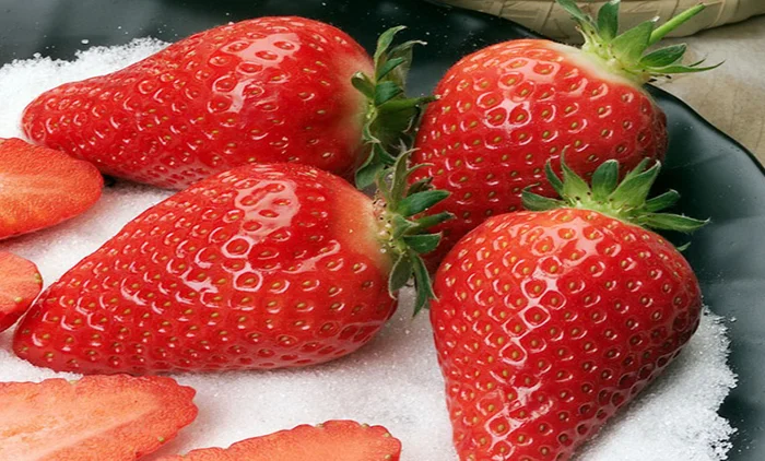 Полуниця Альба(Alba Strawberry) саджанці полуниці Фріго- фото № 1