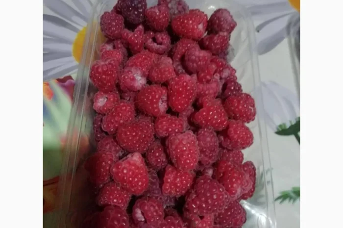 Саджанці ремонтантної малини Брусвяна- фото № 5