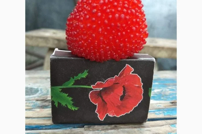 Саджанці Малина Мяо Мяо- фото № 2