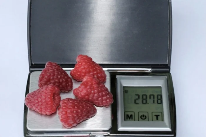 Продам саджанці ремонтантної малини Аміри- фото № 1