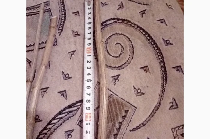 Черенок смородины сорта Тибен, Вернисаж, Титания, Бумер, Рубен- фото № 1