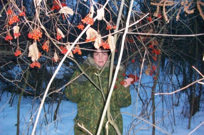 Саженцы черемухи, калины, рябины, ивы- фото № 3