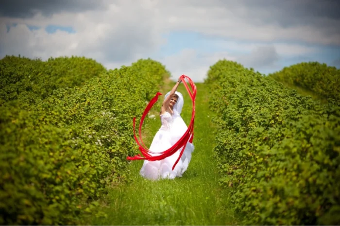 Саженцы черной смородины- фото № 1