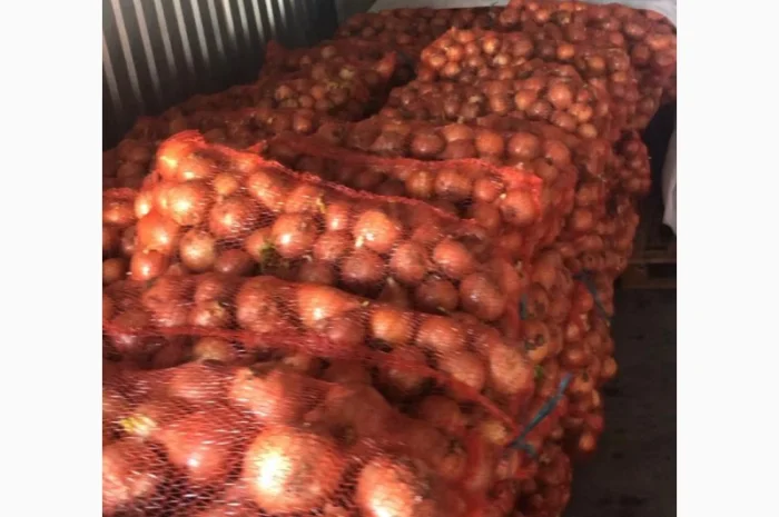 Овоще хранилище закупает борщевой набор. От фермеров и менеденжеров с 20 тонн- фото № 10