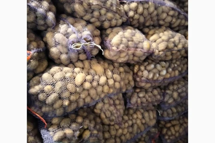 Овоще хранилище закупает борщевой набор. От фермеров и менеденжеров с 20 тонн- фото № 12