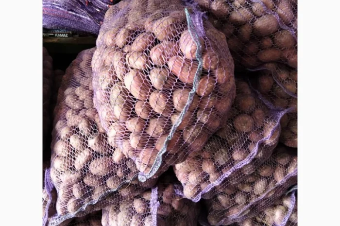 Овоще хранилище закупает борщевой набор. От фермеров и менеденжеров с 20 тонн- фото № 13