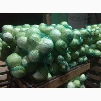 Закупівля борщового набору, товарний картопля 3000 тонн- фото № 4