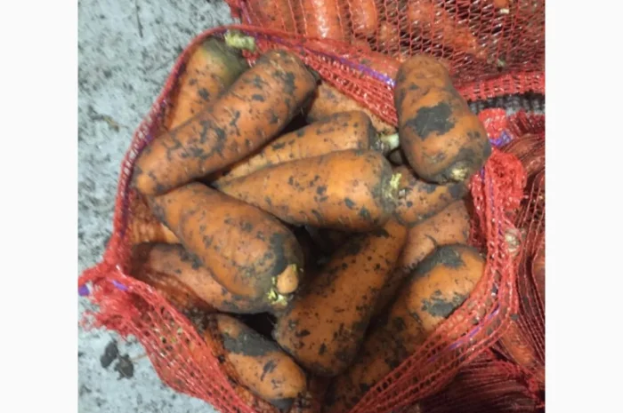 Закупівля борщового набору, товарний картопля 3000 тонн- фото № 9