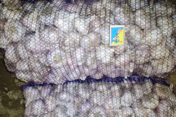 Овоще хранилище закупает борщевой набор. От фермеров и менеденжеров с 20 тонн- фото № 8