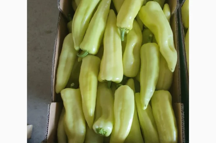 Продам овощи, цитрус и ягоды от поставщика с Греции- фото № 1