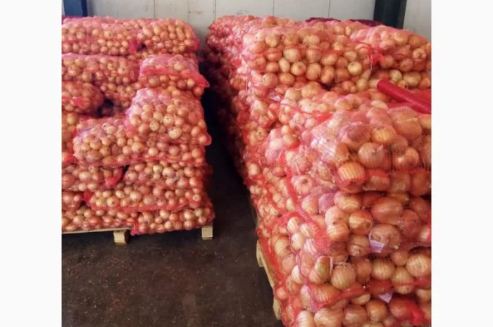 Продам овощи, цитрус и ягоды от поставщика с Греции- фото № 13