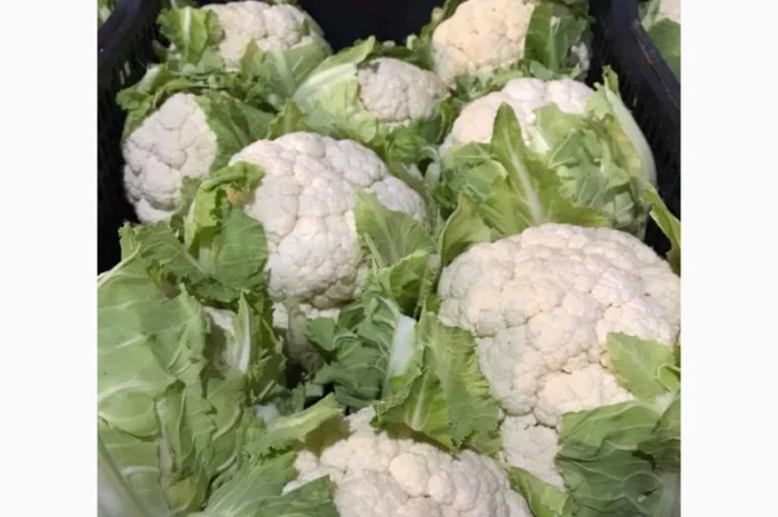 Продам овощи, цитрус и ягоды от поставщика с Греции- фото № 3