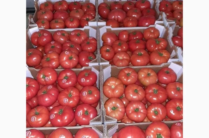 Продам овощи, цитрус и ягоды от поставщика с Греции- фото № 5