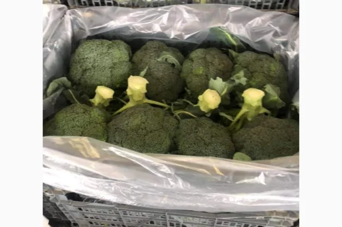 Продам овощи, цитрус и ягоды от поставщика с Греции- фото № 6