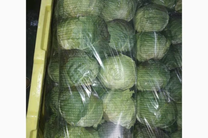 Продам овощи, цитрус и ягоды от поставщика с Греции- фото № 7