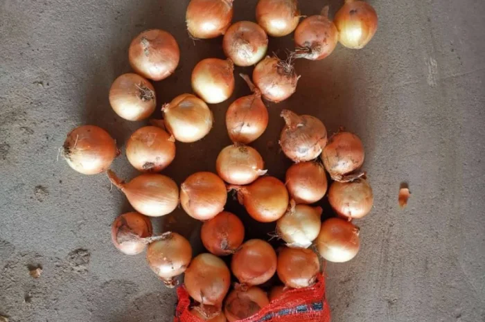 Продажа овощей и фруктов от китайского поставщика – от 20 тонн- фото № 20