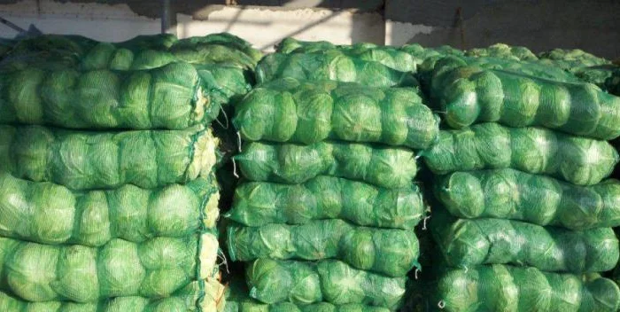 Продажа овощей и фруктов от китайского поставщика – от 20 тонн- фото № 19