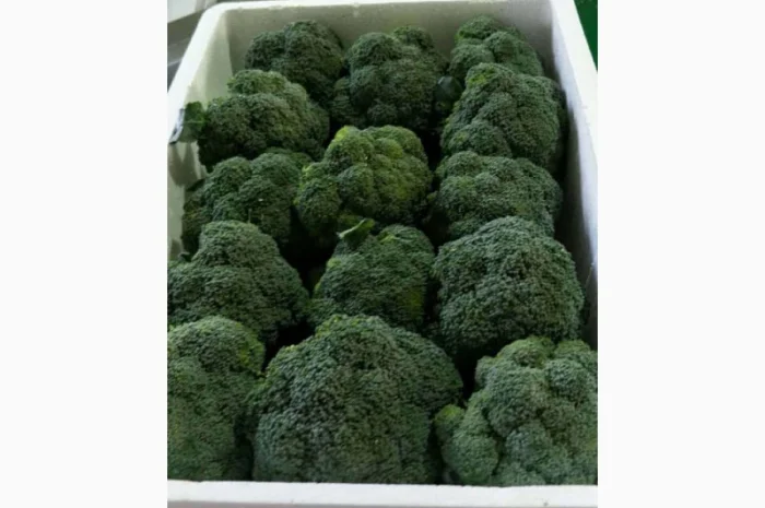 Продажа овощей и фруктов от китайского поставщика – от 20 тонн- фото № 16