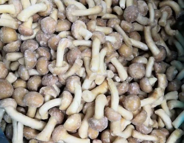 Продажа овощей и фруктов от китайского поставщика – от 20 тонн- фото № 14