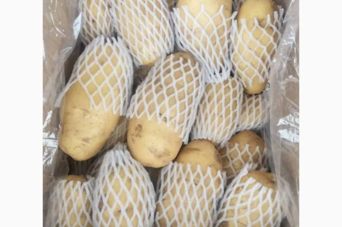 Продажа овощей и фруктов от китайского поставщика – от 20 тонн- фото № 12