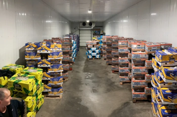 Овощи, фрукты, зелень, соления, экзотика. Опт- фото № 4