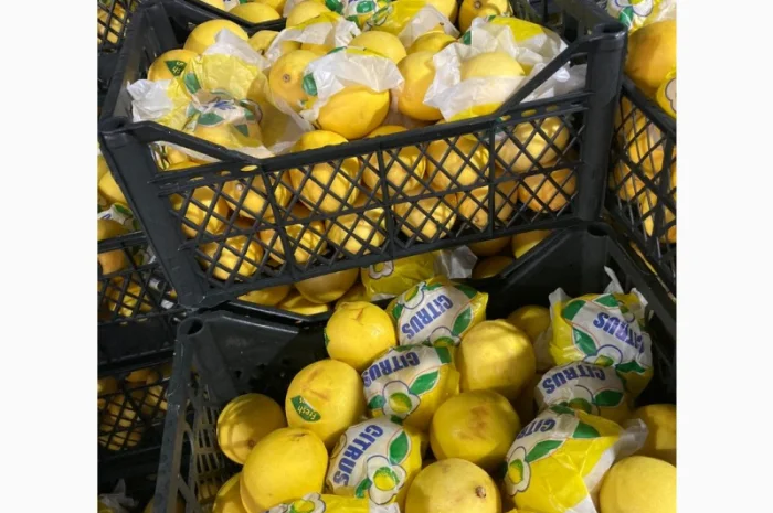 Овощи, фрукты, зелень, соления, экзотика. Опт- фото № 1