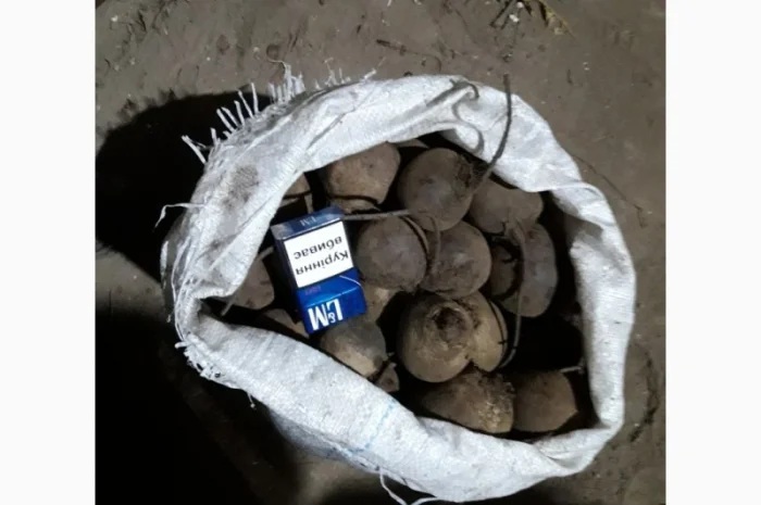 Продаємо моркову, цибулю, капусту, буряк, картоплю з доставкою від 1 тони- фото № 10