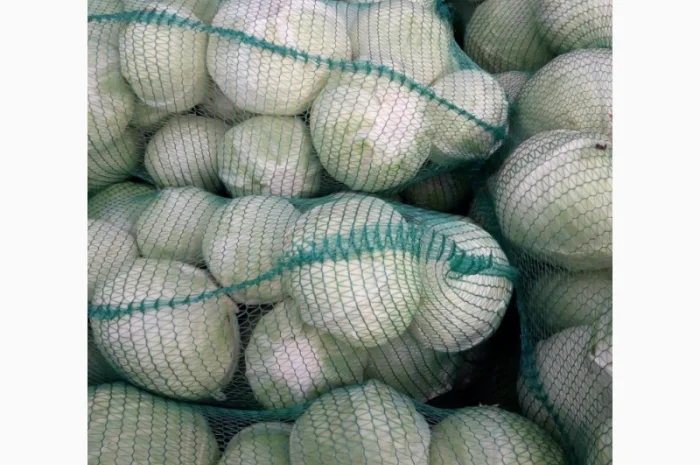 Продаємо моркову, цибулю, капусту, буряк, картоплю з доставкою від 1 тони- фото № 4