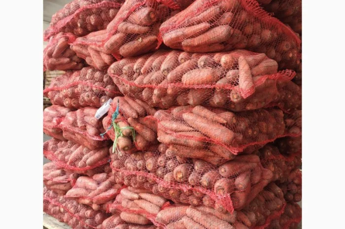 Продаємо моркову, цибулю, капусту, буряк, картоплю з доставкою від 1 тони- фото № 9