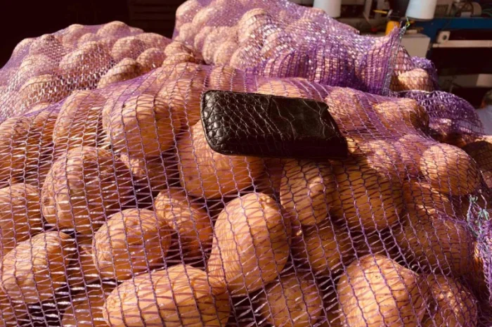 Продаємо моркову, цибулю, капусту, буряк, картоплю з доставкою від 1 тони- фото № 11